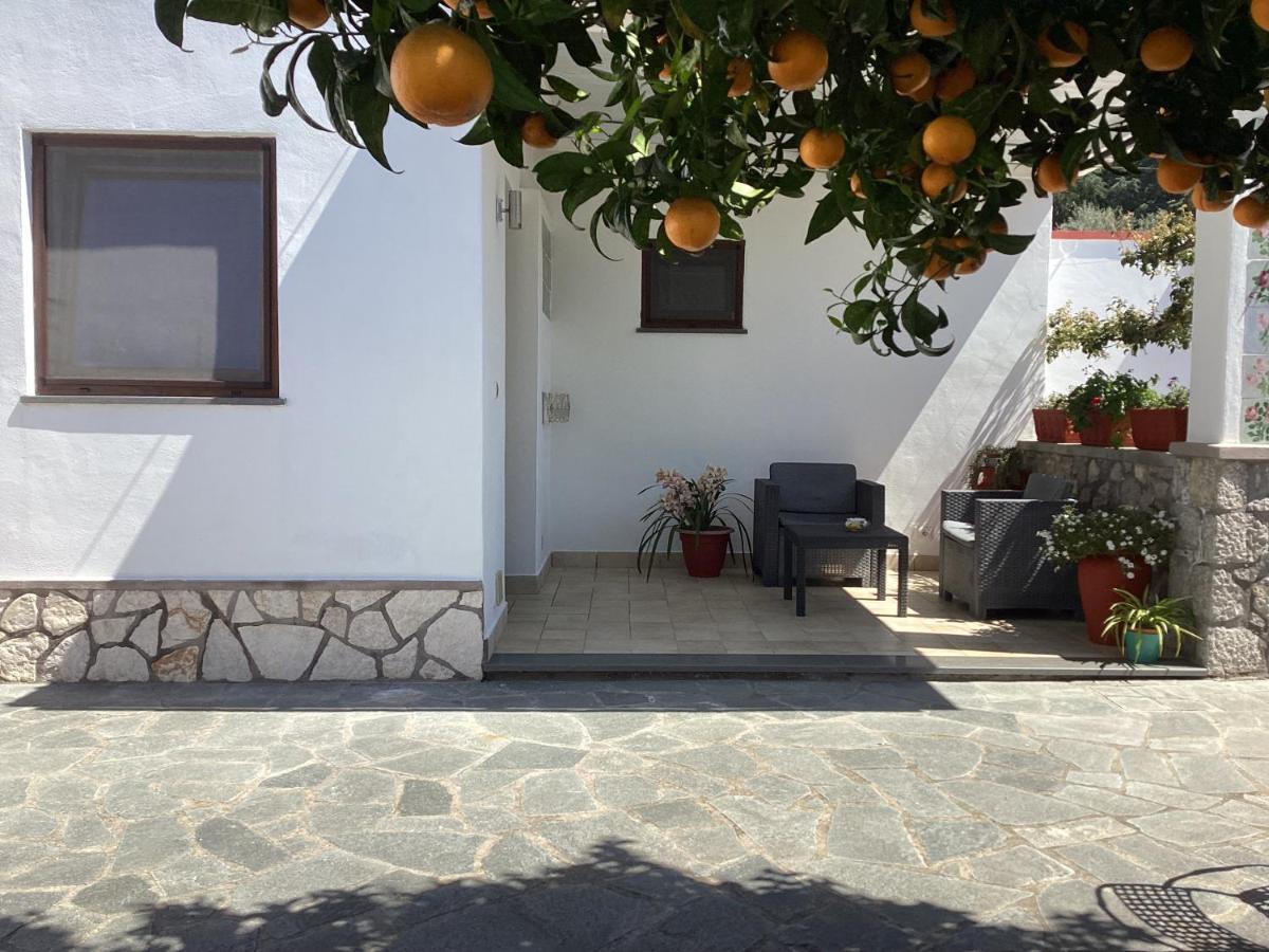 B&B Casetta Minghitto Anacapri  Exteriör bild