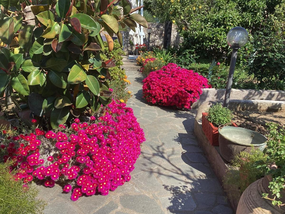 B&B Casetta Minghitto Anacapri  Exteriör bild