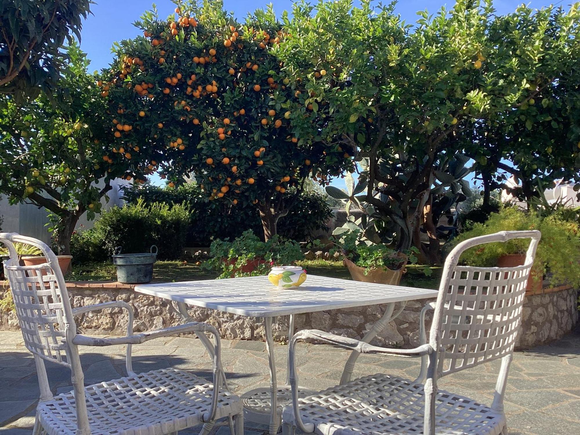 B&B Casetta Minghitto Anacapri  Exteriör bild