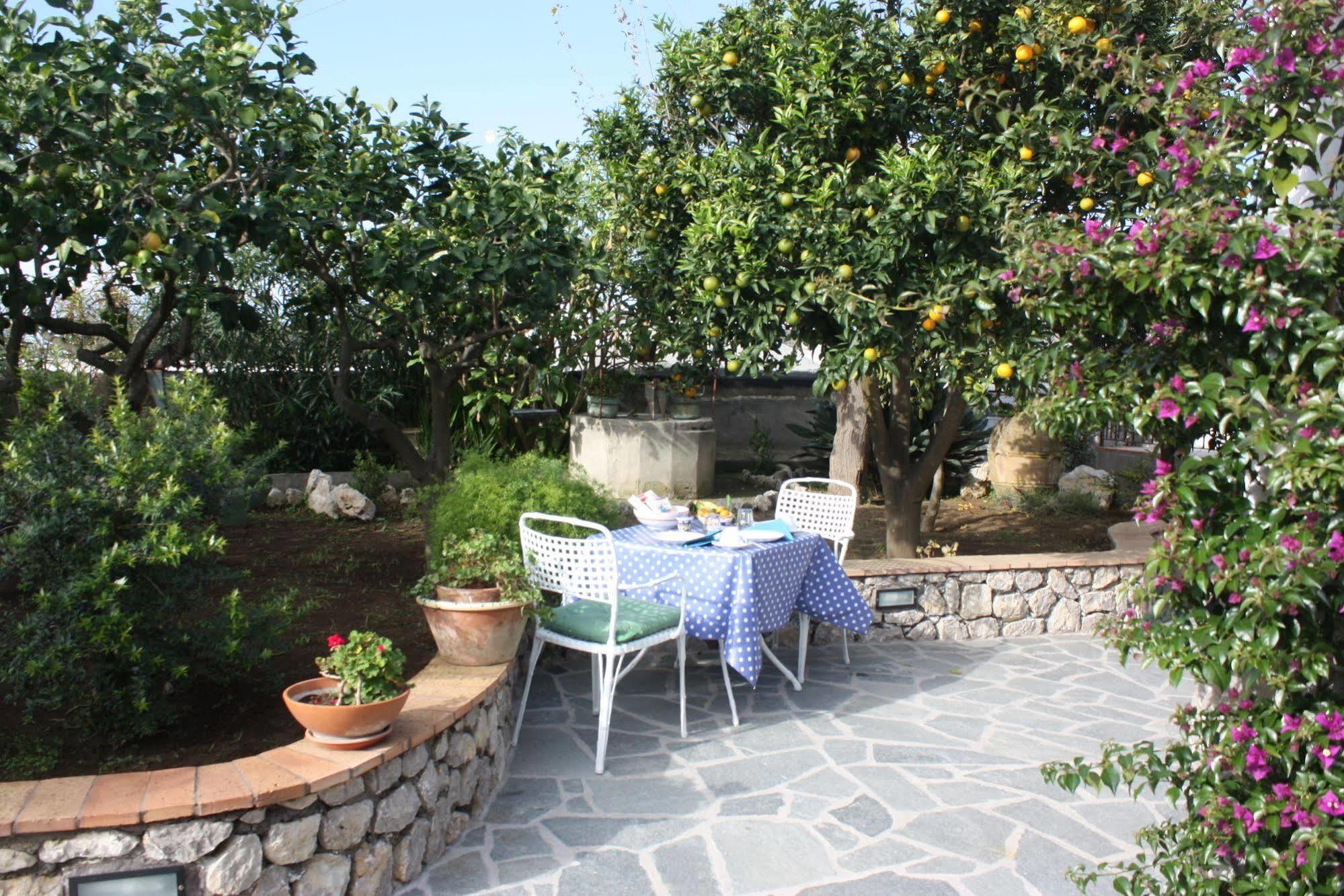 B&B Casetta Minghitto Anacapri  Exteriör bild